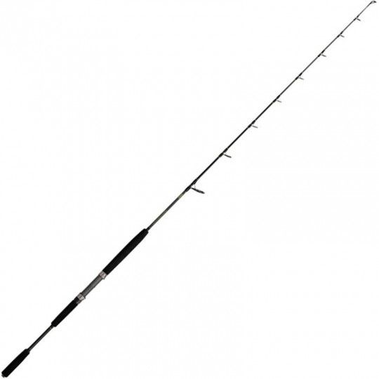 Catfish rod Black Cat Solid...