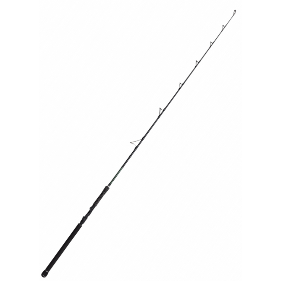 Catfish rod Madcat Black Vertical II