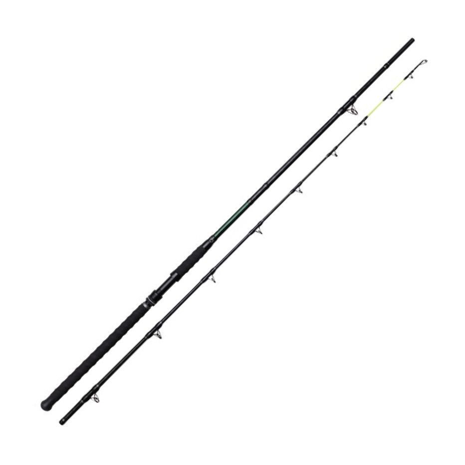 Catfish rod Madcat Black Cat -Stick 300