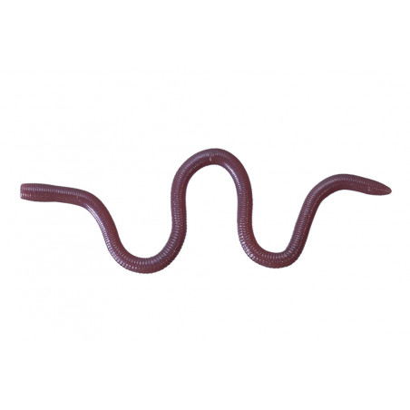 Gummifische OSP MMZ Medium