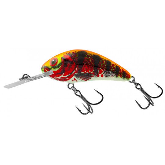 Wobbler Salmo Rattlin Hornet Schwimmend 5,5cm