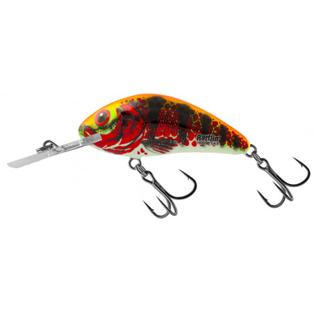 Señuelo Duro Salmo Rattlin Hornet Floating 6.5cm