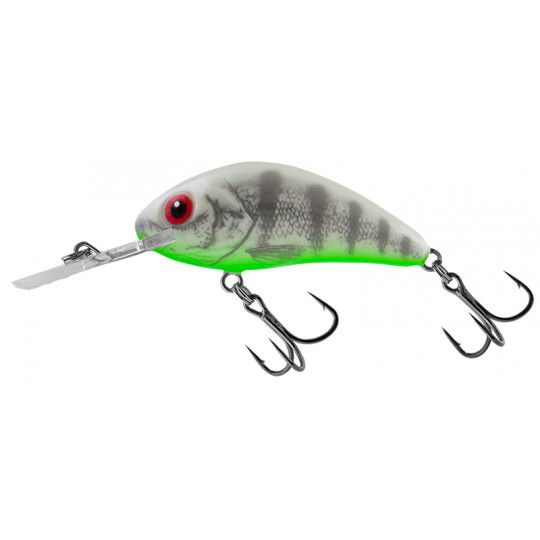 Hard Bait Salmo Rattlin Hornet Floating 5.5cm