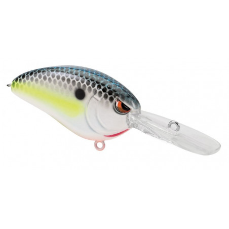 Hard Bait Spro Little John Micro DD 45