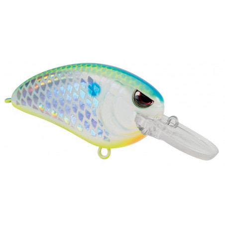 Hard Bait Spro Little John Type R MD 50