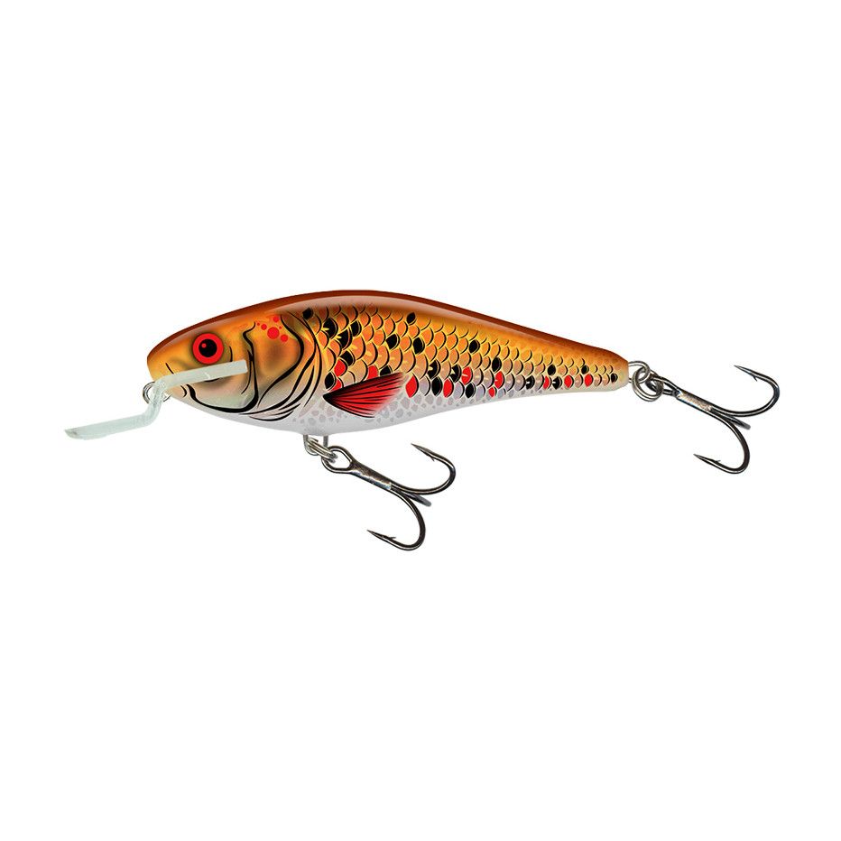 Hard Bait Salmo Executor