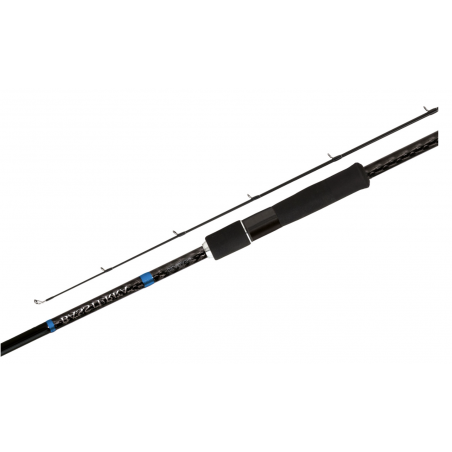 Spinning rod Shimano Bassterra Sea Bass