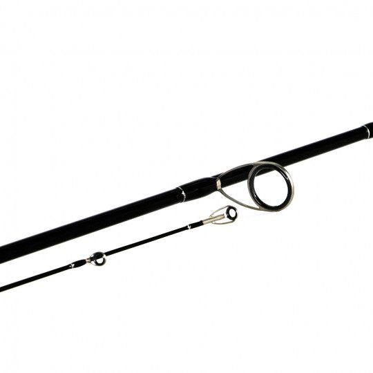 Spinning rod Shimano Bassterra Sea Bass
