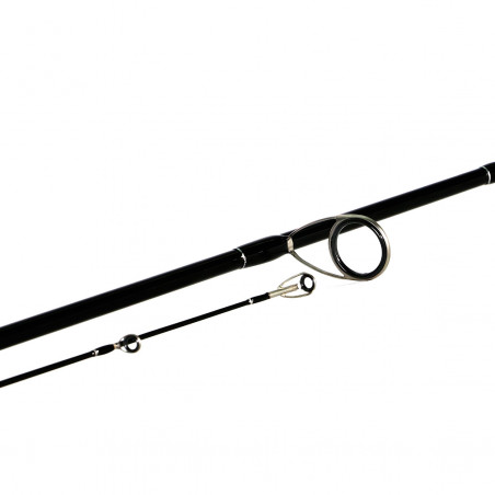 Spinning rod Shimano Bassterra Sea Bass
