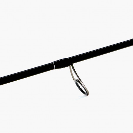 Spinning rod Shimano Bassterra Sea Bass