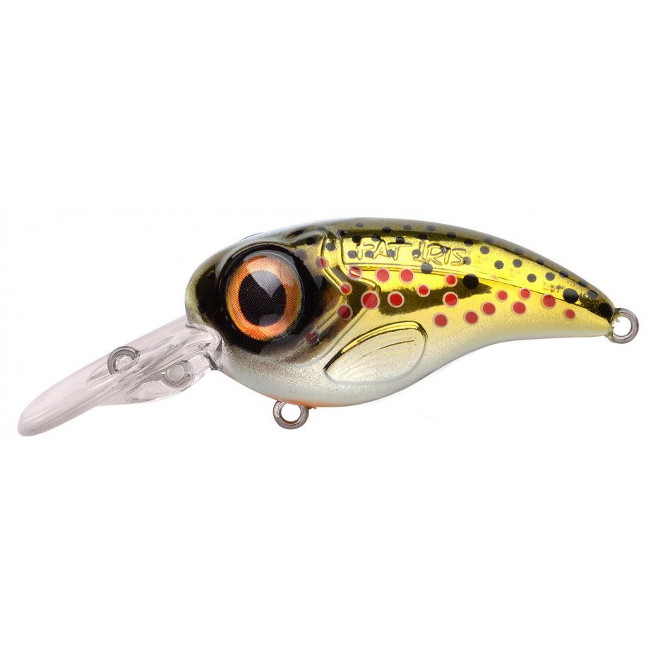 Wobbler Spro Fat Iris 50 CR