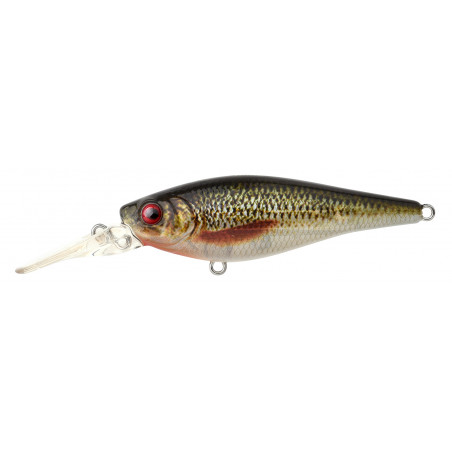 Hard Bait Spro Iriku Shad 70 LL