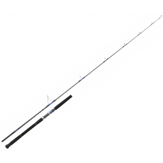 Spinning rod Daiwa Saltiga...