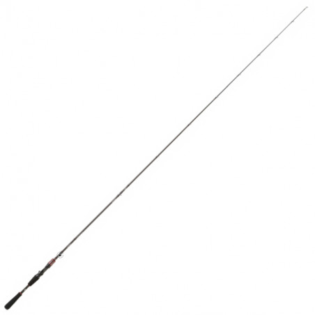 Casting Rod Daiwa Steez AGS 2022