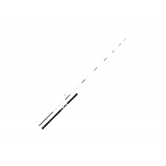 Spinning rod Daiwa Saltist