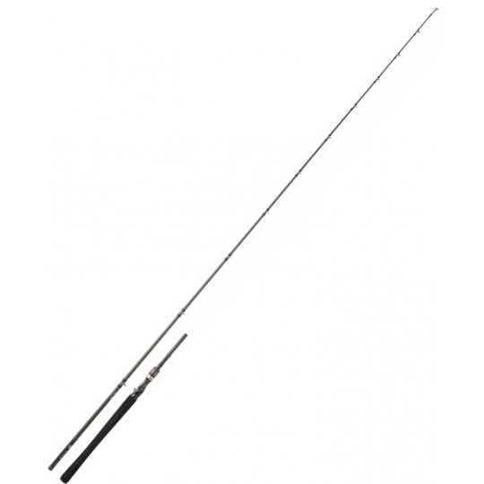 Baitcast Ruten Daiwa Exceler DF
