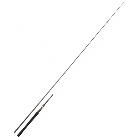 Canne Casting Daiwa Exceler DF
