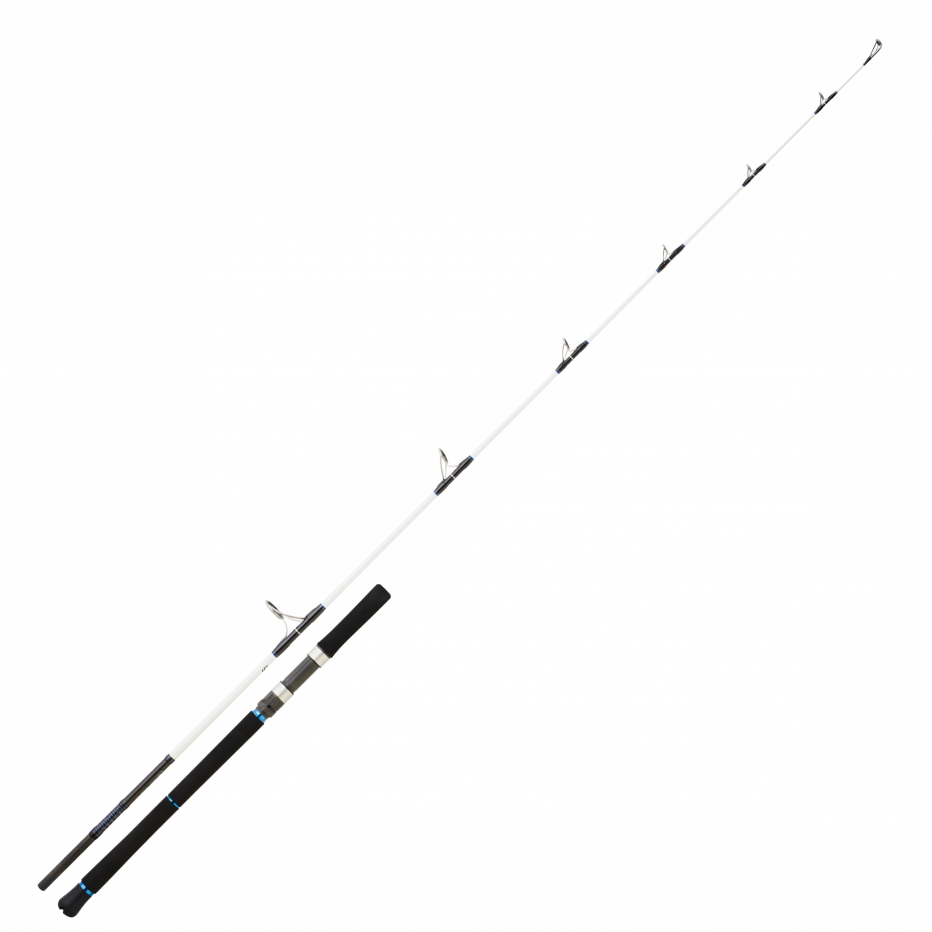 Spinnruten Daiwa Saltist