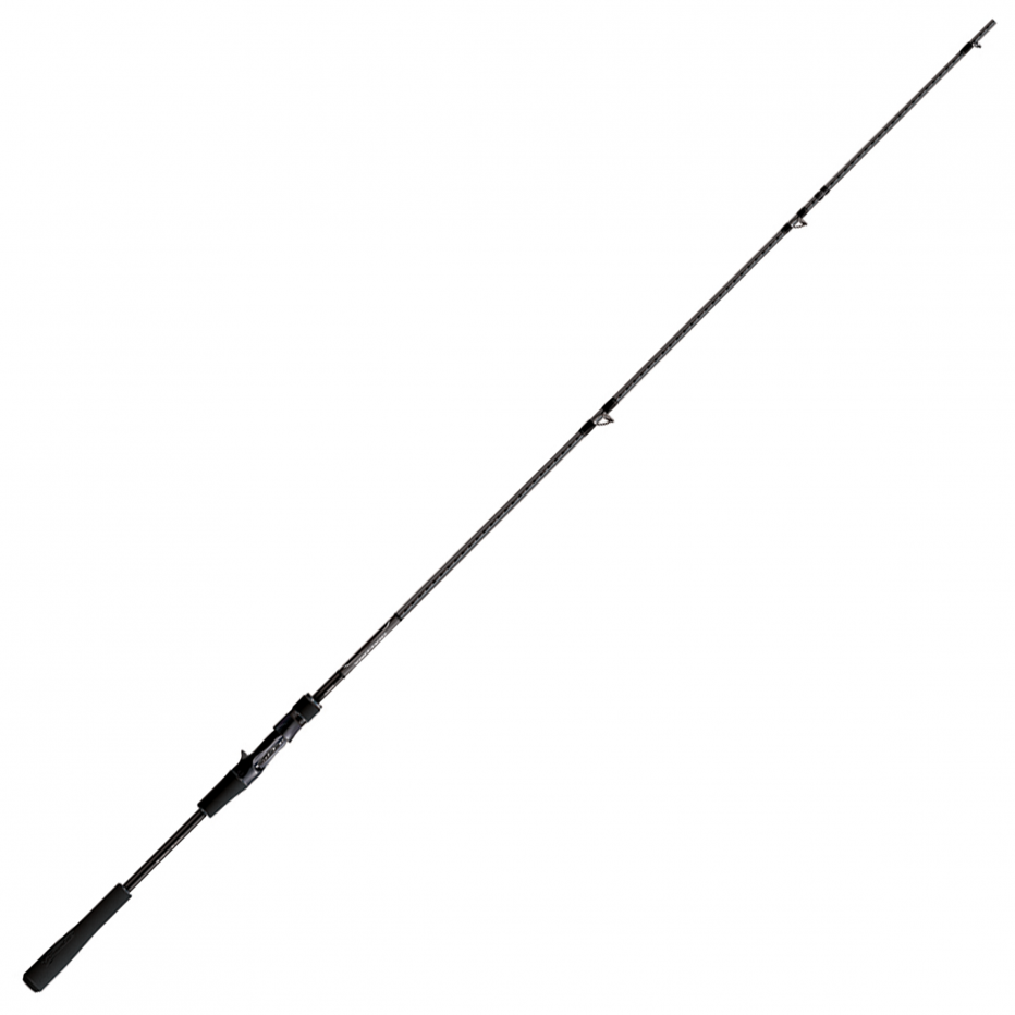 Canne Casting Shimano Dialuna Inshore 2m59 10-45g