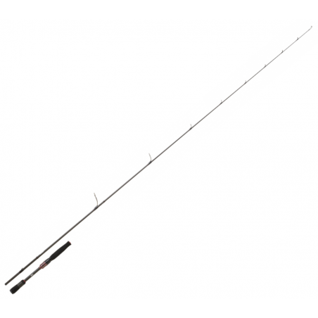 Spinning rod Daiwa Steez AGS 651 M