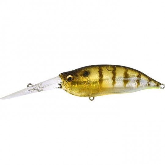 Hard Bait Megabass IXI Shad TX
