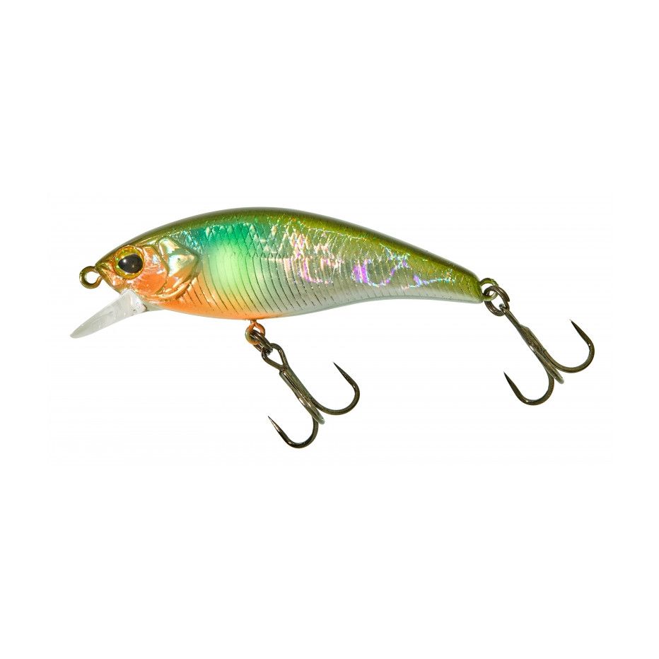 Poisson Nageur Illex Flat Tricoroll 55 S