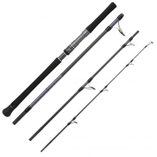 Spinning rod Hearty Rise Skywalker Exo Light