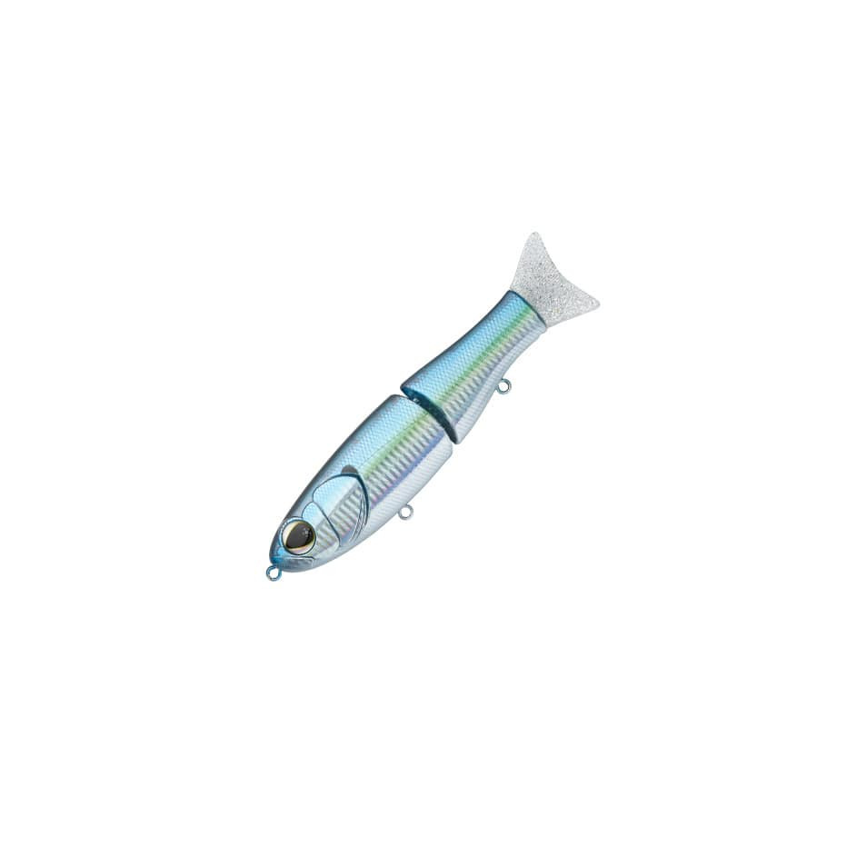 Poisson nageur Sakura S Shiner 170S