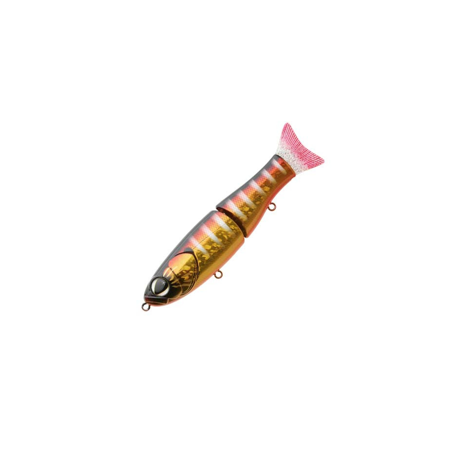 Poisson nageur Sakura S Shiner 170S