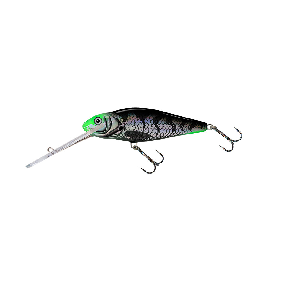 Hard bait Salmo Perch
