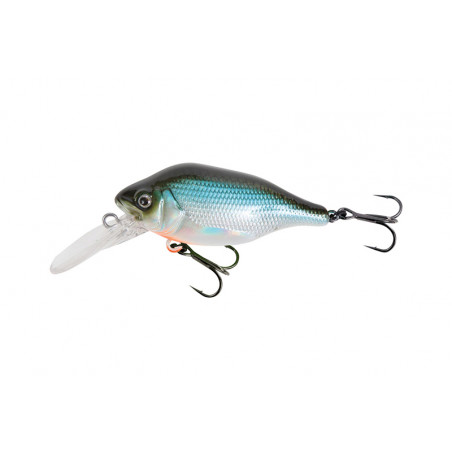 Hard Bait Fox Rage Funk Bug DR 5cm