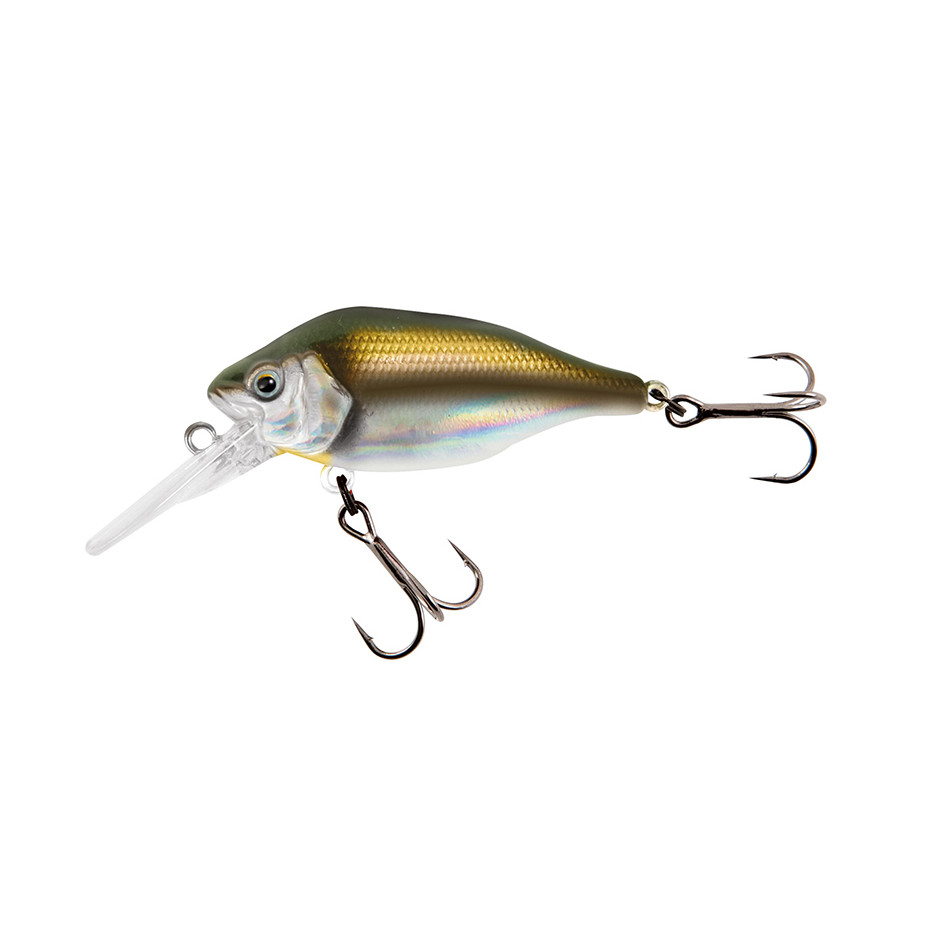 Hard Bait Fox Rage Funk Bug DR 5cm