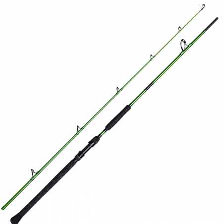 Angelruten Wels Madcat Green Deluxe 2022