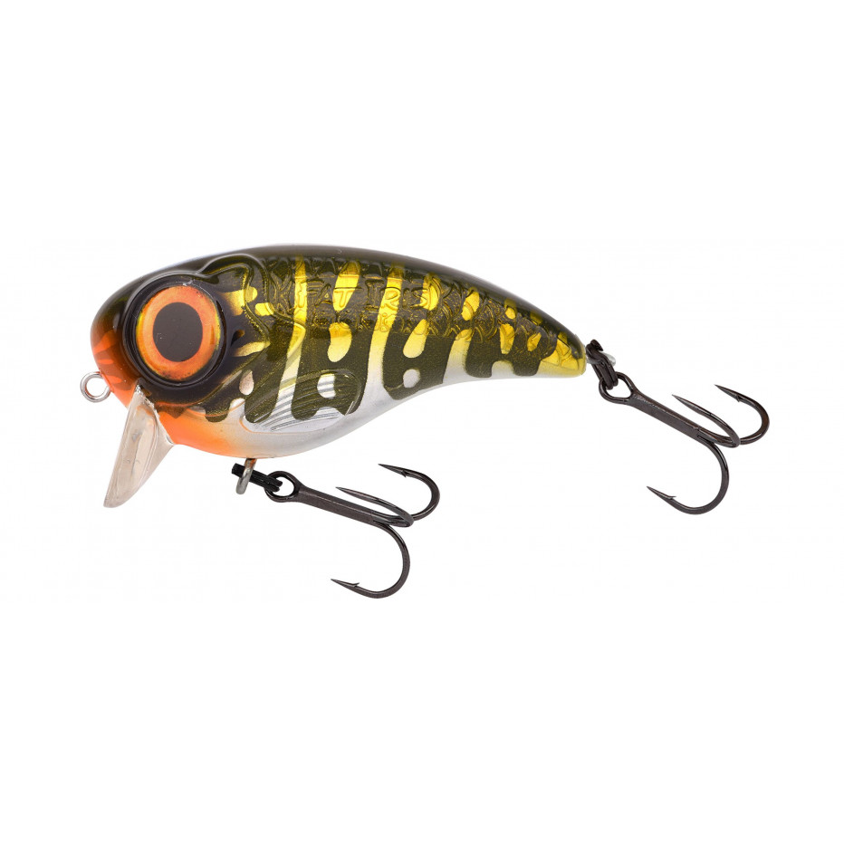 Poisson Nageur Spro Fat Iris 40