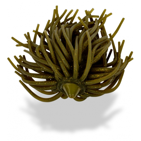 Teaser Black Cat Gusano real Teaser 80g