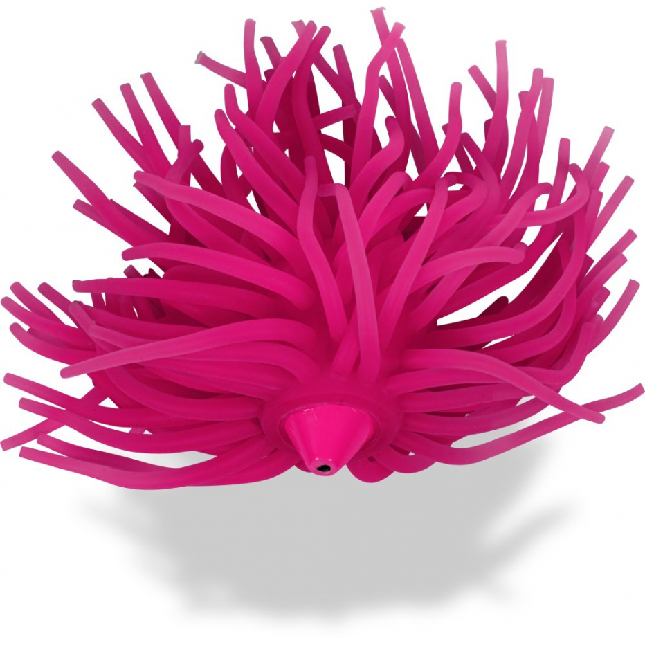 Teaser Black Cat Gusano real Teaser 80g