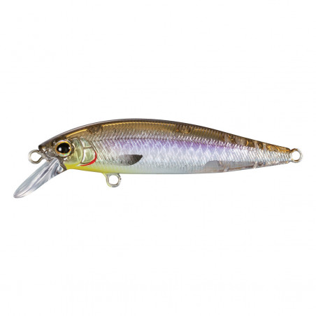 Poisson Nageur Shimano Cardiff Stream Flat 65 ES