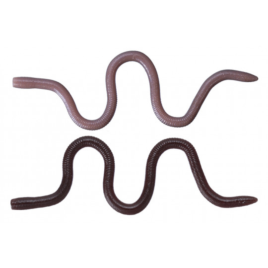 Gummifische OSP Mimizu Deka