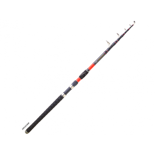 Catfish rod Daiwa Megaforce Big Fish Telescopic