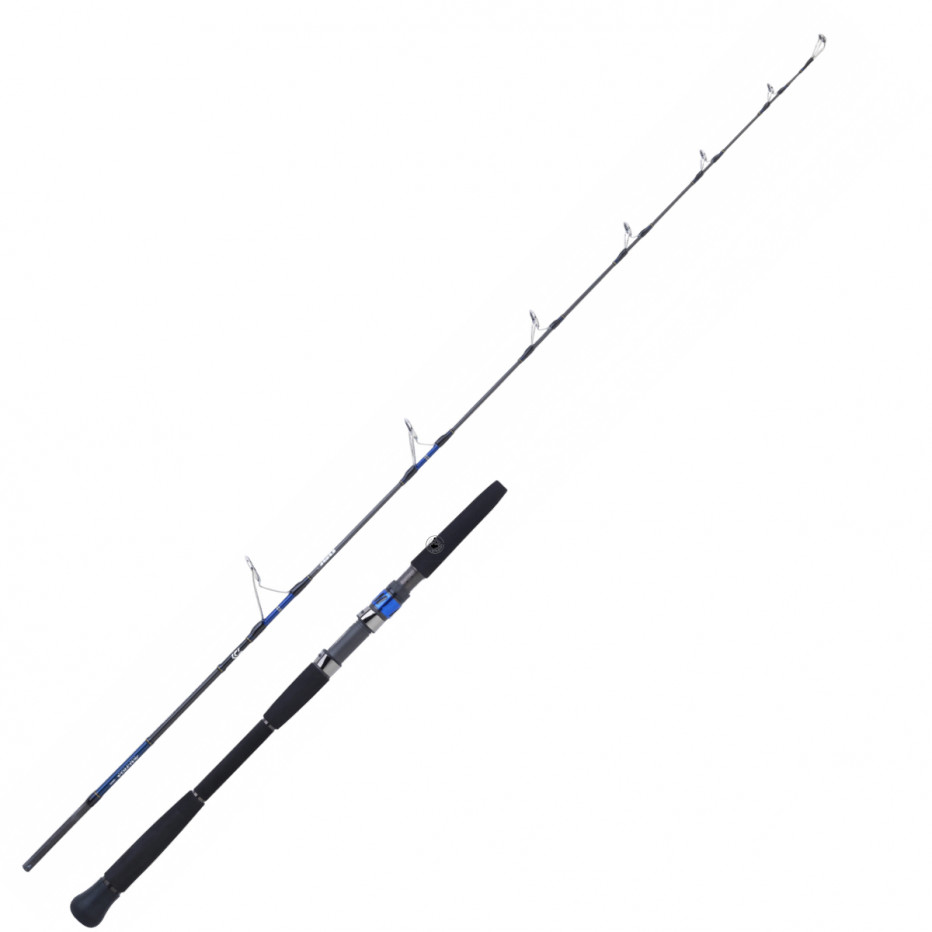 Jig rod Daiwa Saltiga Hiramasa 58 HS Jigging fishing Leurre de la pêche