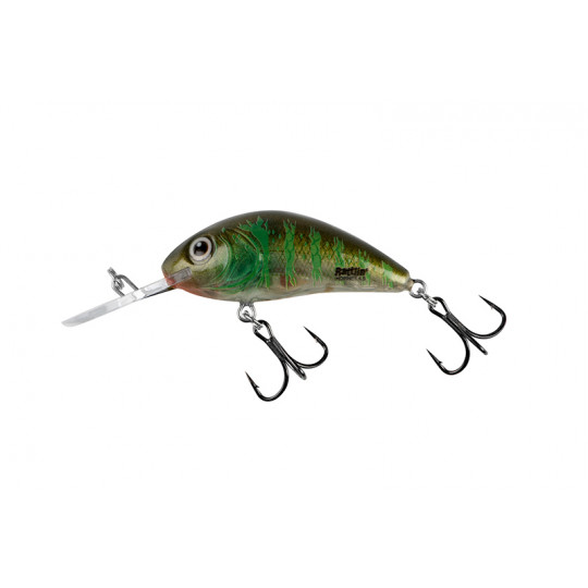 Hard Bait Salmo Rattlin Hornet Floating 6.5cm