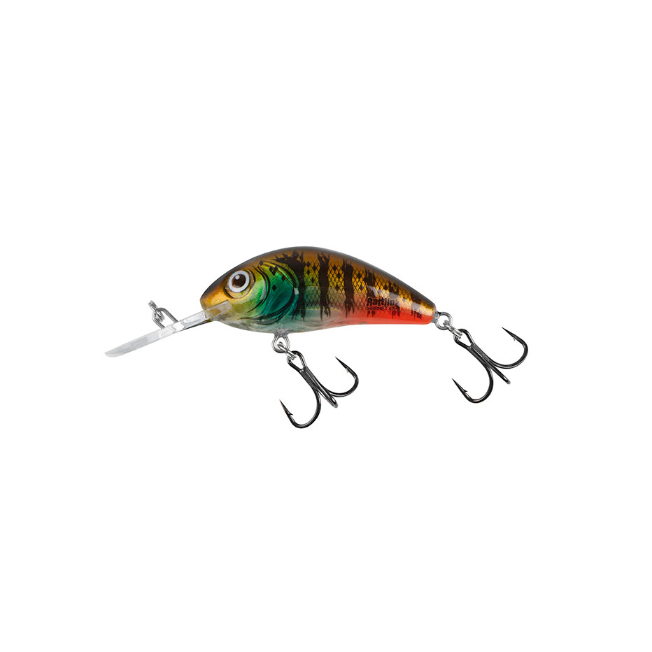 Hard Bait Salmo Rattlin Hornet Floating 6.5cm