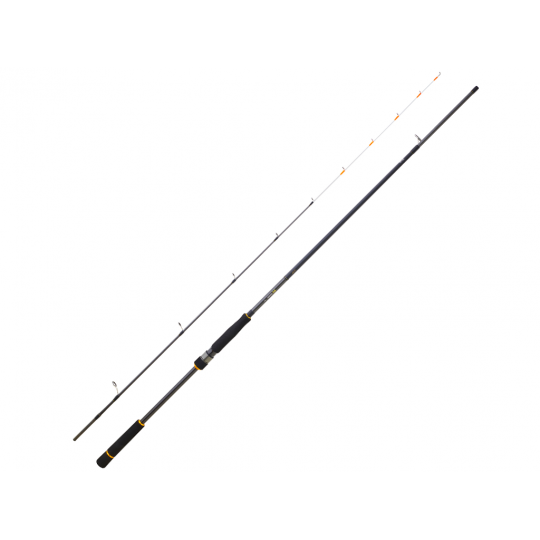 Spinnruten Daiwa BG Tenya Spiel