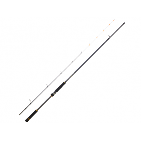 Spinning rod Daiwa BG Tenya Game