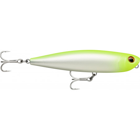 Poisson Nageur Rapala Precision Xtreme Pencil SW 10,7cm