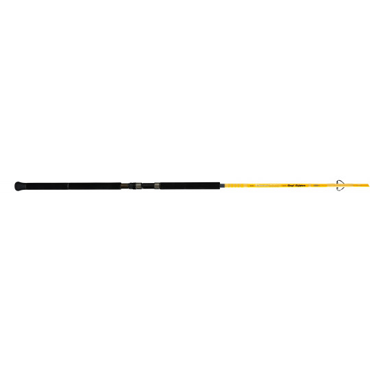 Spinning rod Illex Element Rider S 240 XH Reef Ripper