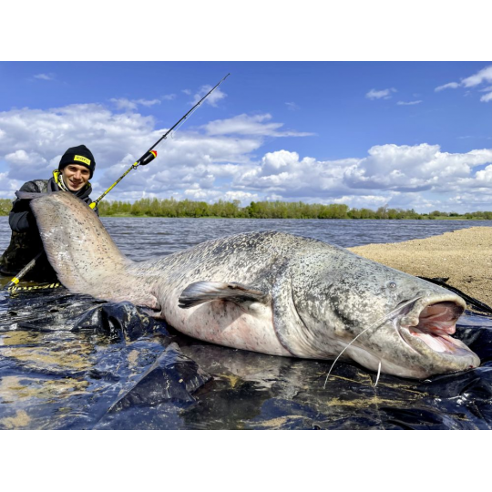 Catfish rod Black Cat Perfect Passion XH-S 2022