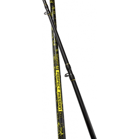 Catfish rod Black Cat Perfect Passion XH-S 2022
