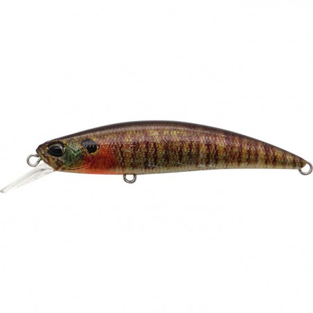 International Duo Swimmer Fish Spearhead Ryuki 70 S