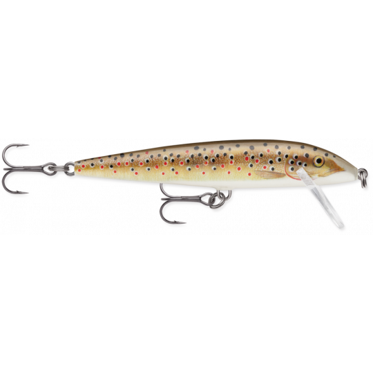 Wobbler Rapala Countdown 11cm Gelegenheit